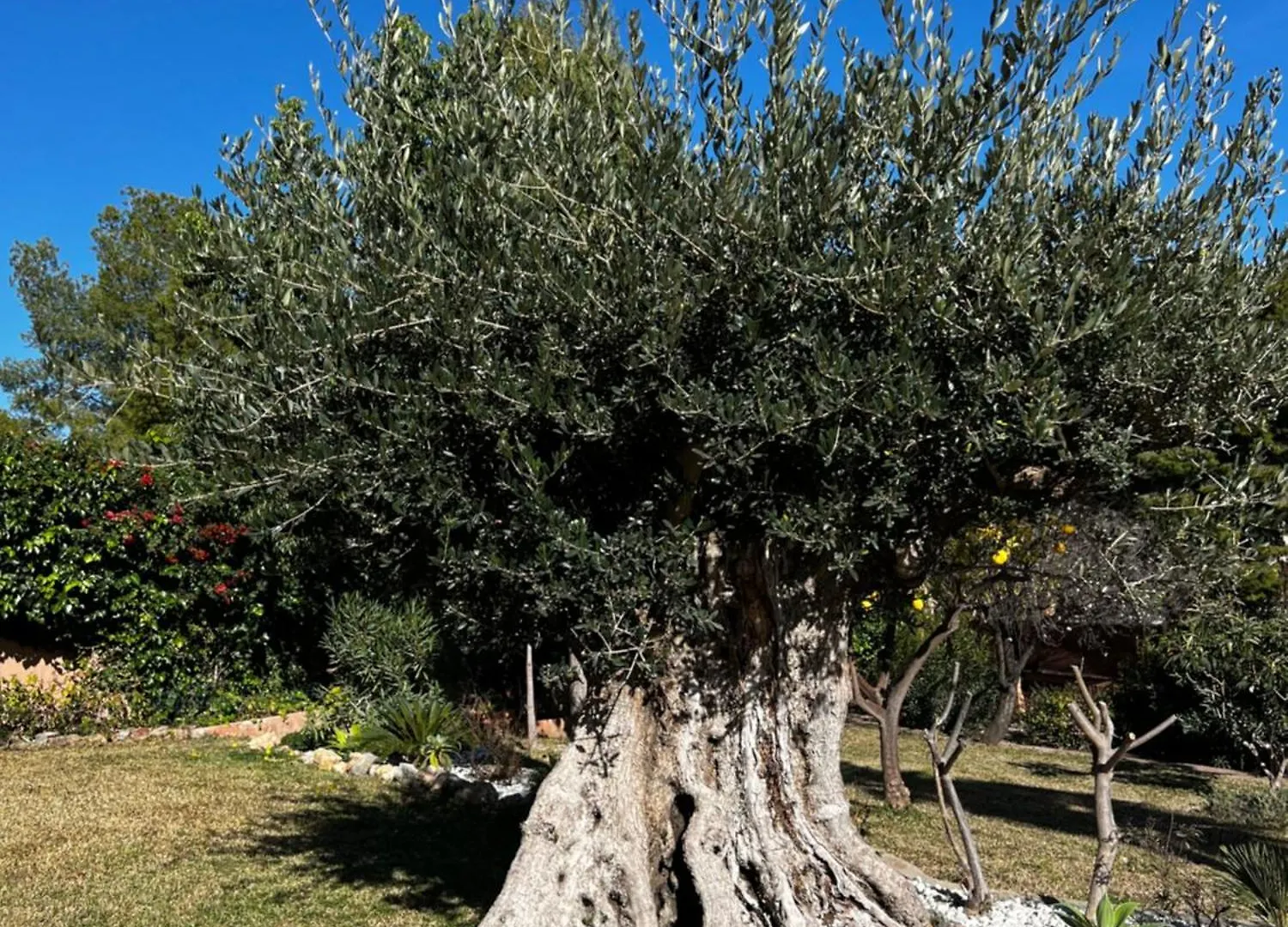 Villa Marietta La Herradura  Holiday home La Herradura (Granada)